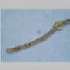 Leaf Cross 40er 03.jpg